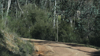 Trails image